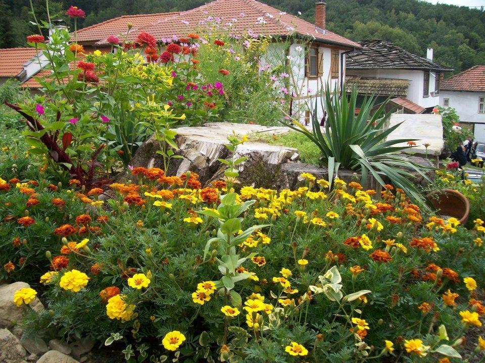 Staroto Shkolo House - Rooms For Guests Subotkovtsi Ngoại thất bức ảnh